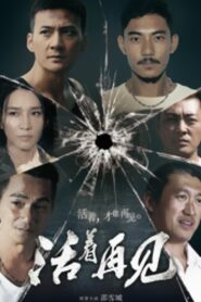 活着再见 2015 En Netflix