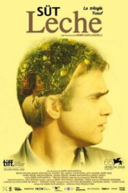 Süt Online En Netflix