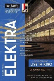 Elektra Online En Netflix