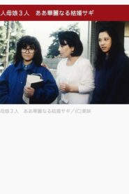 美人母娘３人　ああ華麗なる結婚サギ Online En Netflix