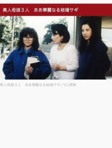 美人母娘３人　ああ華麗なる結婚サギ Online En Netflix