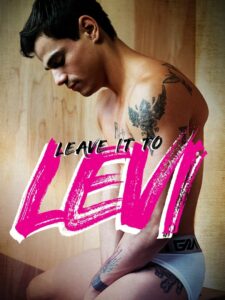 Leave It to Levi Online En Netflix