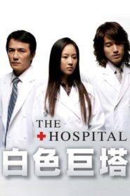 白色巨塔 2006 En Netflix