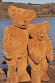 La vie lointaine Online En Netflix