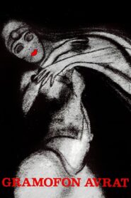 Gramofon Avrat Online En Netflix