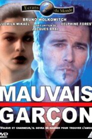 Mauvais garçon Online En Netflix
