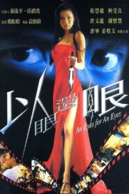 以眼還眼 Online En Netflix