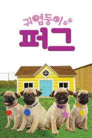 귀염둥이 퍼그 2021 En Netflix