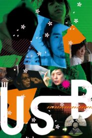 USB Online En Netflix