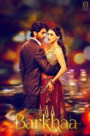 Barkhaa Online En Netflix