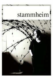 Stammheim Online En Netflix