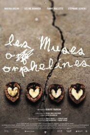 Les muses orphelines Online En Netflix