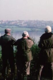 Review 34th Year No. 7 Online En Netflix