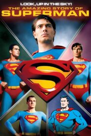 ¡Mira al cielo! La increíble historia de Superman Online En Netflix
