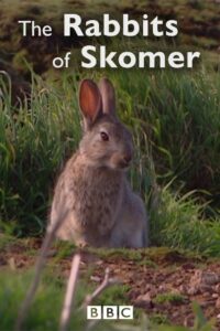 The Rabbits of Skomer Online En Netflix