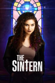 The Sintern Online En Netflix