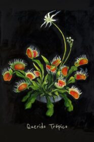 Querido Trópico Online En Netflix