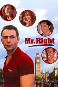 Mr. Right Online En Netflix
