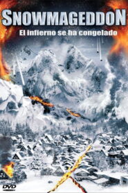 Snowmageddon Online En Netflix