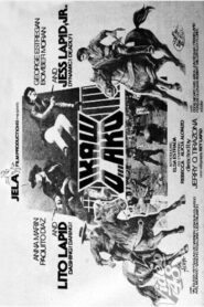 Ikaw o ako Online En Netflix