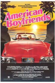 American Boyfriends Online En Netflix