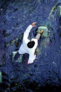 Alan Parsons – A valid path Online En Netflix