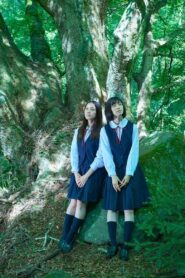 20dB Online En Netflix