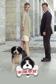 Un cane per due Online En Netflix