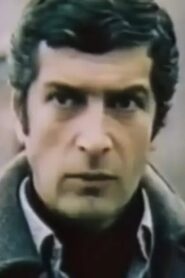 ათოვდა ზამთრის ბაღებს Online En Netflix