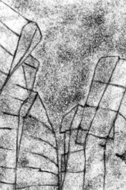 Behind Us Online En Netflix