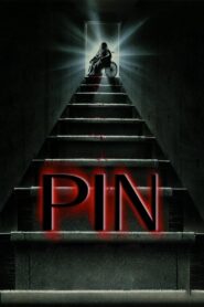 Pin Online En Netflix