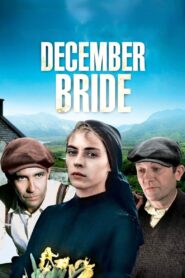 December Bride Online En Netflix