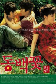 동백꽃 Online En Netflix