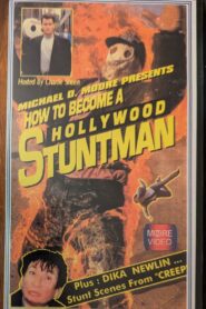 How To Become A Hollywood Stuntman Online En Netflix