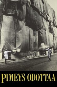 Pimeys odottaa Online En Netflix