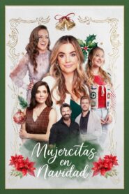 A Little Women’s Christmas Online En Netflix
