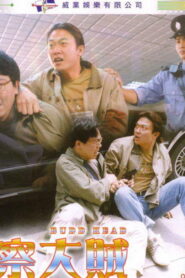 警察大賊 Online En Netflix