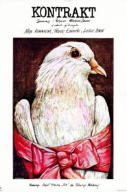 Kontrakt Online En Netflix