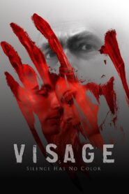 Visage Online En Netflix