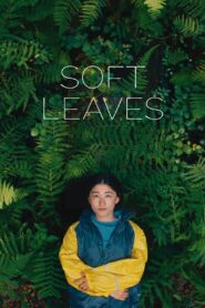 Soft Leaves Online En Netflix