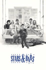Stars & Bars Online En Netflix