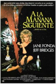 The Morning After Online En Netflix