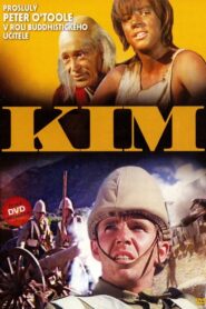 Kim Online En Netflix