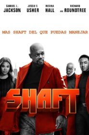 Shaft Online En Netflix