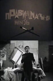 Провинциальная жизнь Online En Netflix