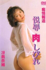 痴情報道 快辱肉しびれ Online En Netflix