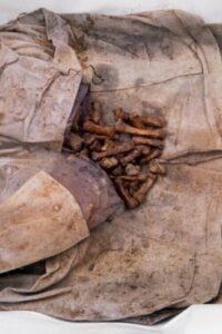 Exhumator Online En Netflix