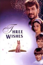 Three Wishes Online En Netflix