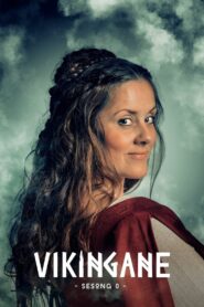 Vikingane 2016 En Netflix