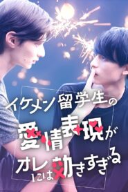 イケメン留学生の愛情表現がオレには効きすぎる 2025 En Netflix